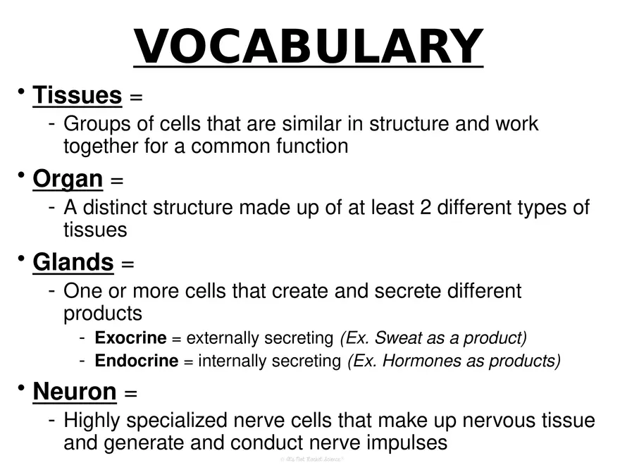 Anatomy Concept 3 Anatomy Basics - Page 13