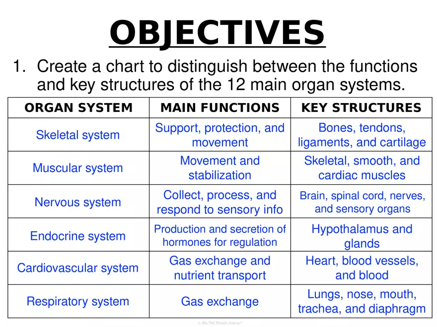 Anatomy Concept 3 Anatomy Basics - Page 14