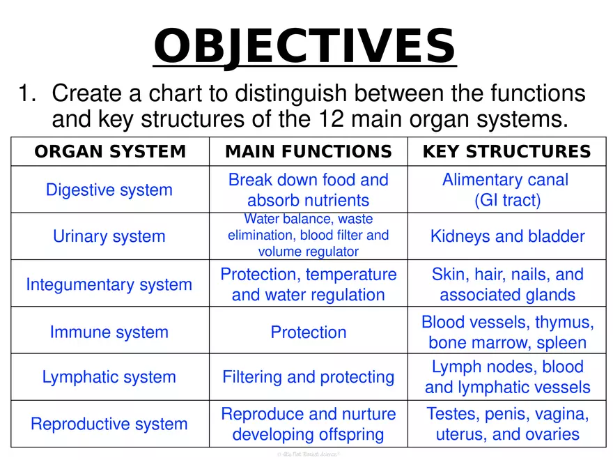 Anatomy Concept 3 Anatomy Basics - Page 15