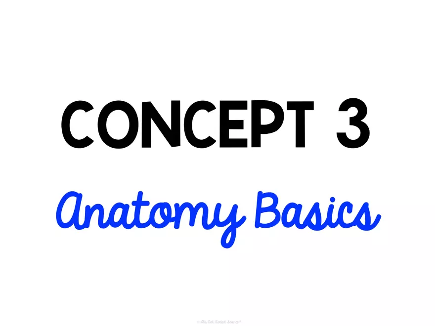 Anatomy Concept 3 Anatomy Basics - Page 1