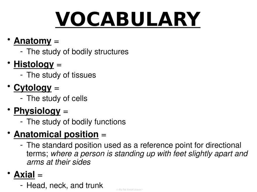 Anatomy Concept 3 Anatomy Basics - Page 2