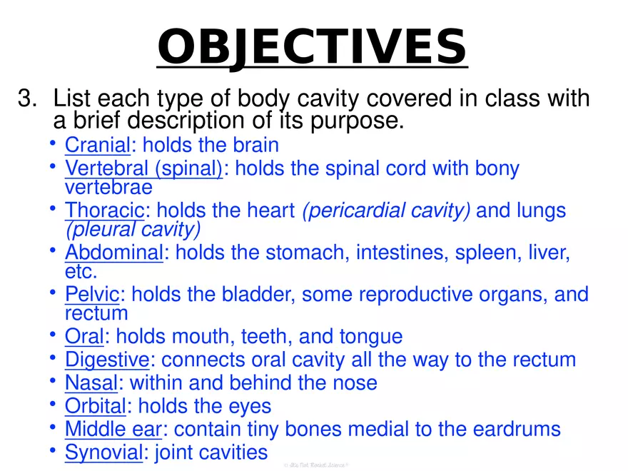 Anatomy Concept 3 Anatomy Basics - Page 3