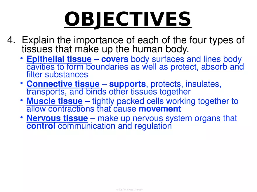 Anatomy Concept 3 Anatomy Basics - Page 4