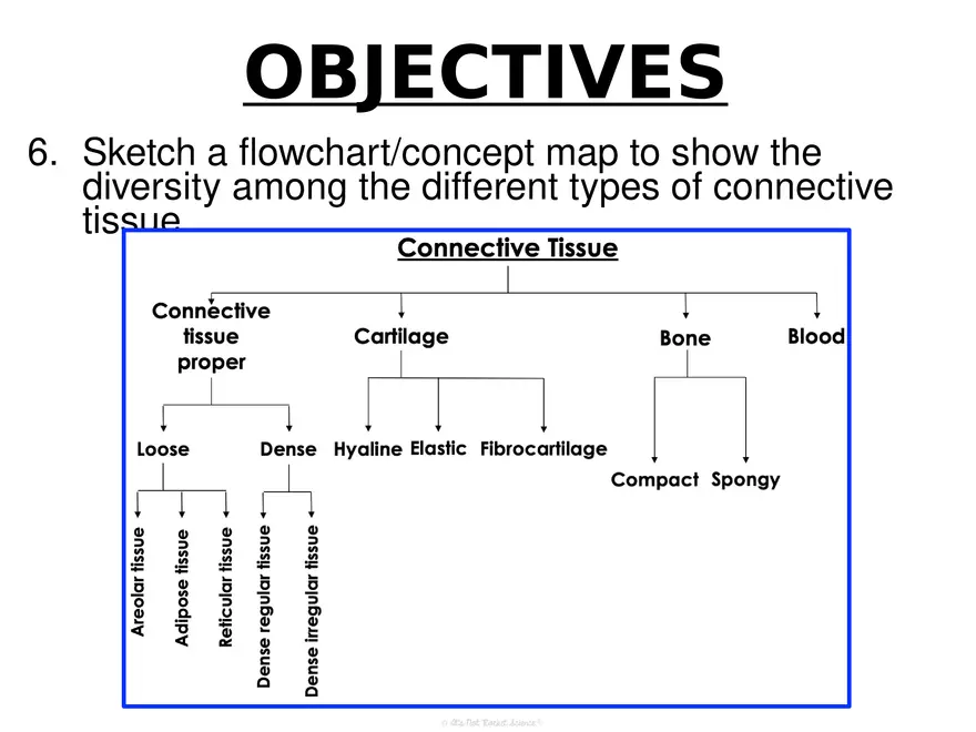 Anatomy Concept 3 Anatomy Basics - Page 6