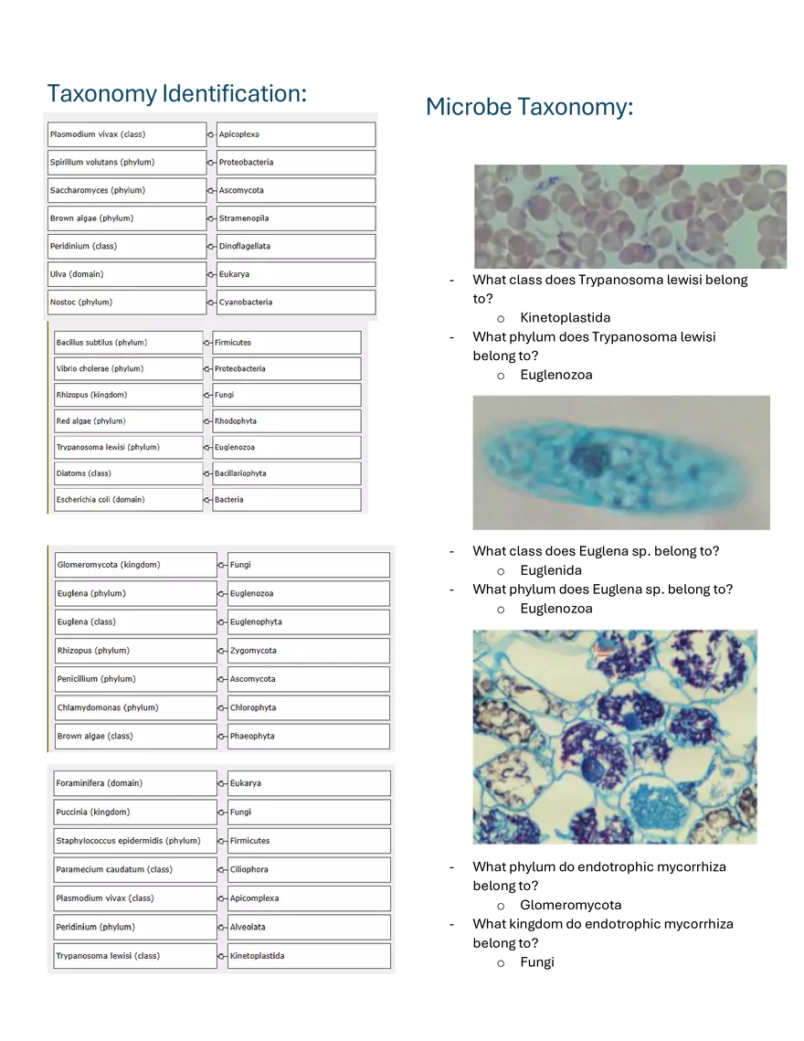 Microbe Taxonomy - Page 1