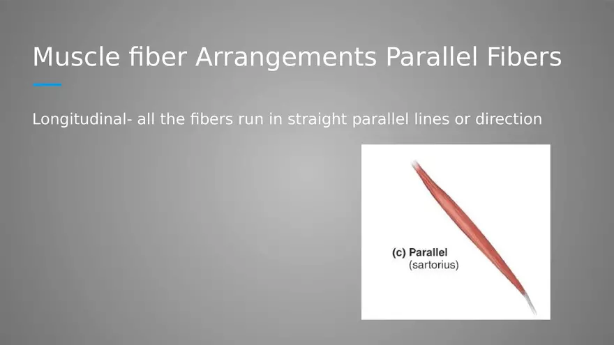Introduction to Myology - Page 7