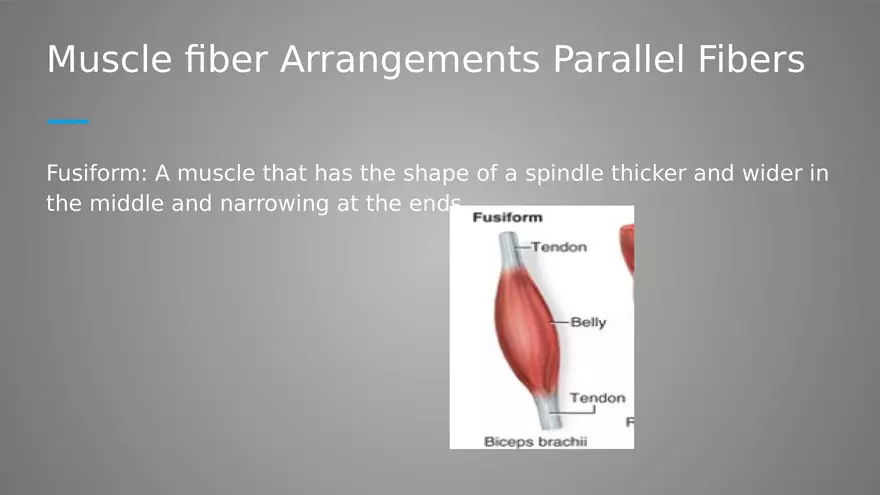 Introduction to Myology - Page 8