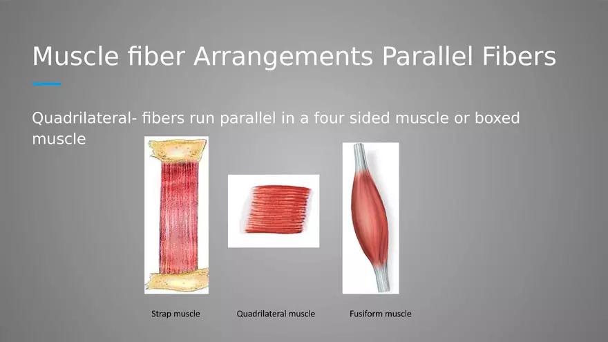 Introduction to Myology - Page 9