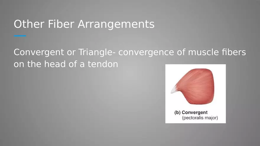 Introduction to Myology - Page 12