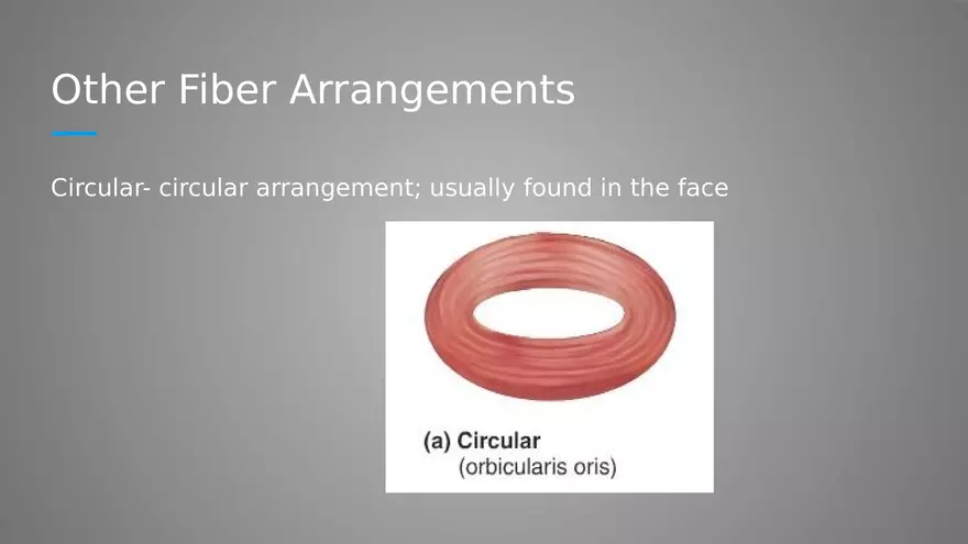 Introduction to Myology - Page 14