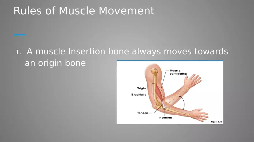 Introduction to Myology - Page 22