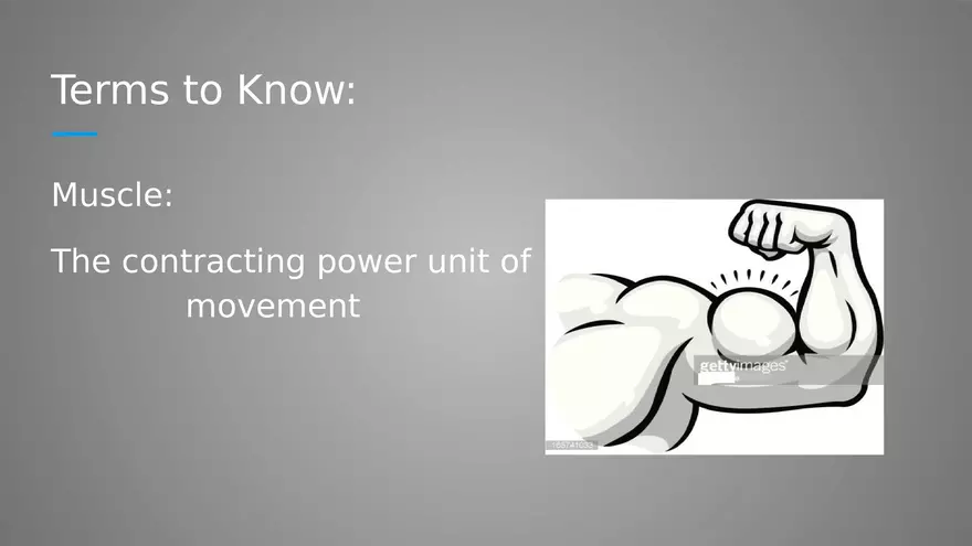 Introduction to Myology - Page 26