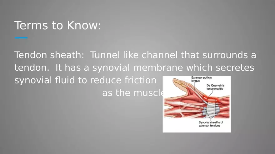 Introduction to Myology - Page 27