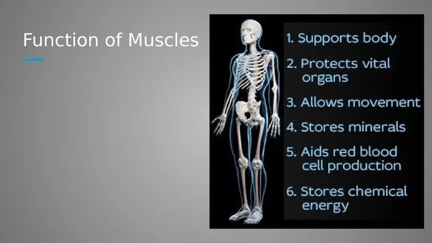 Introduction to Myology - Page 31