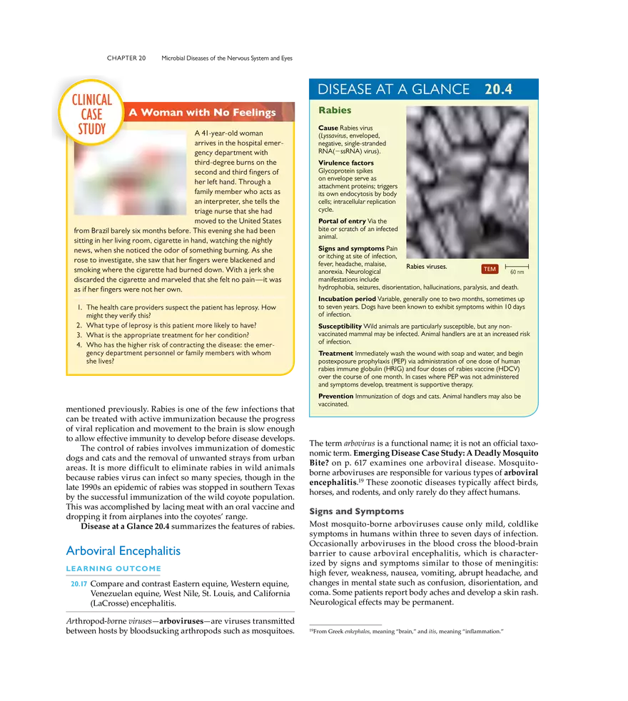 Microbial Diseases of the Nervous System and Eyes - Page 11