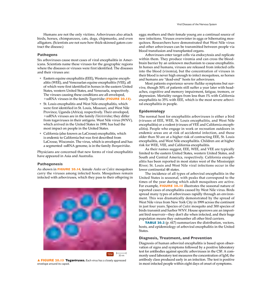 Microbial Diseases of the Nervous System and Eyes - Page 12