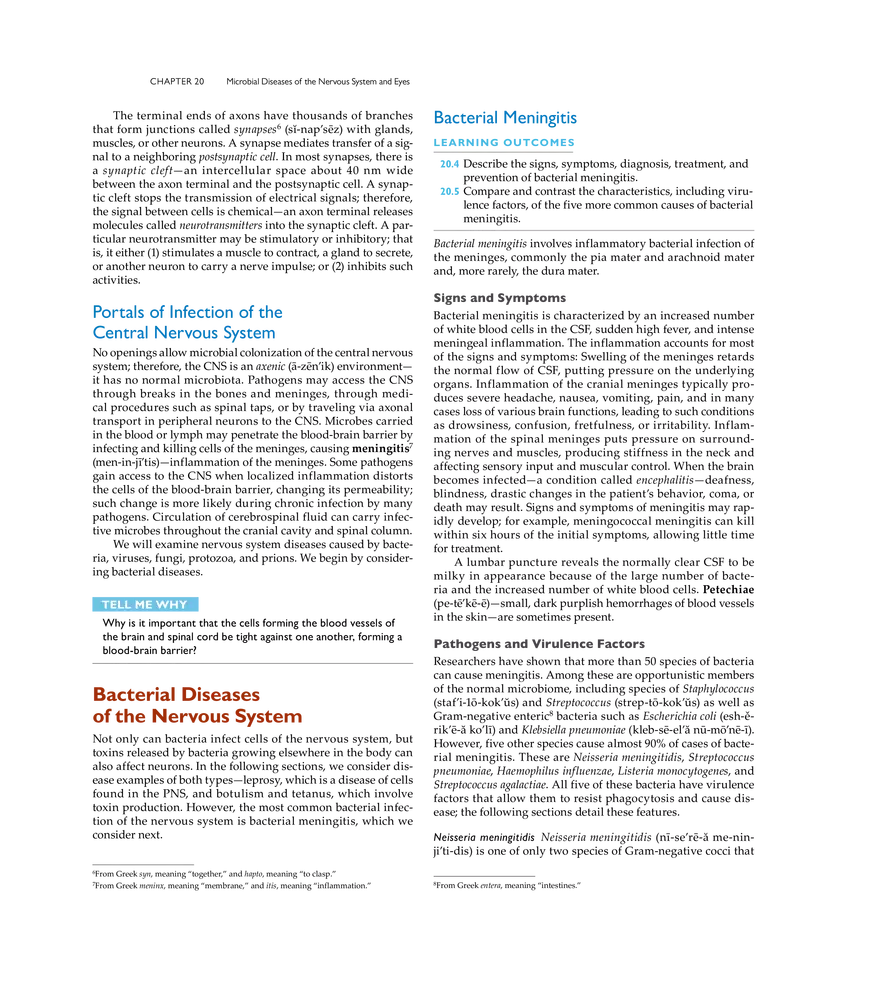 Microbial Diseases of the Nervous System and Eyes - Page 13