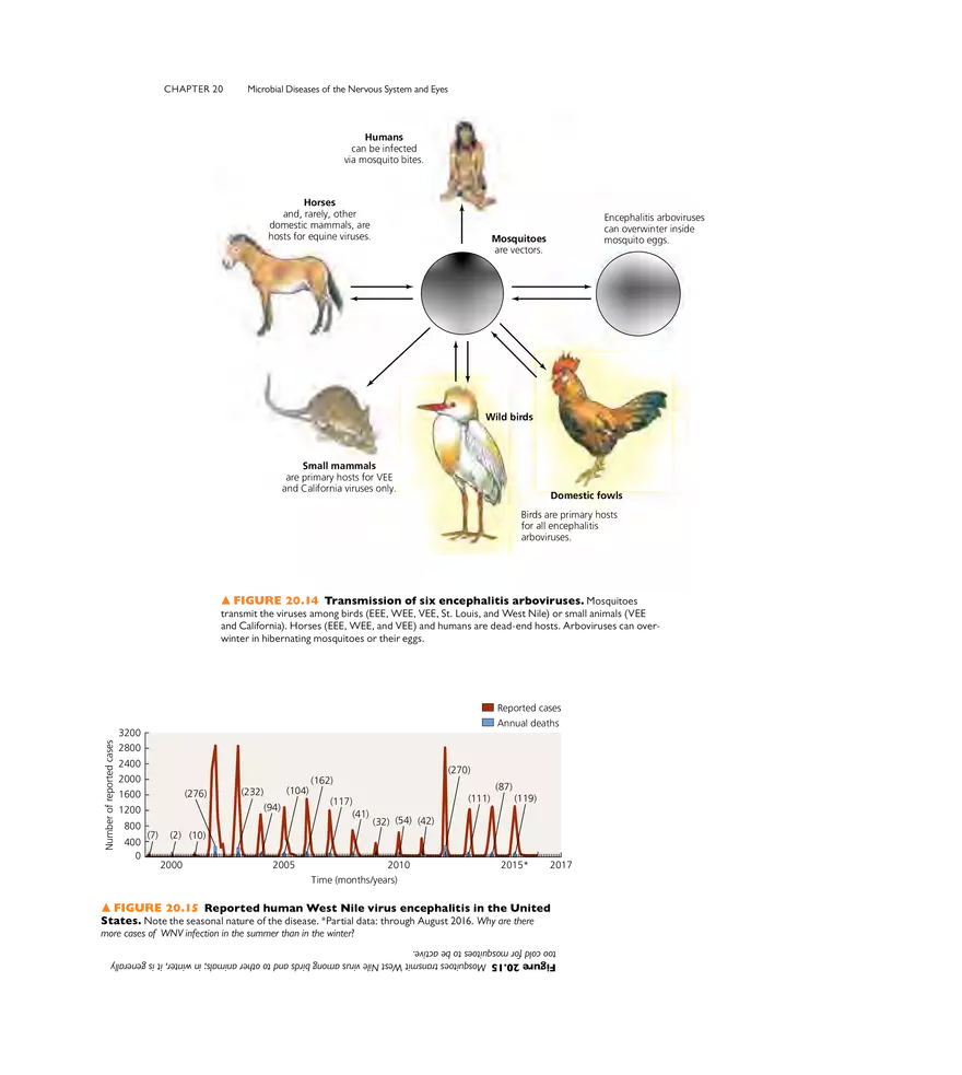 Microbial Diseases of the Nervous System and Eyes - Page 14