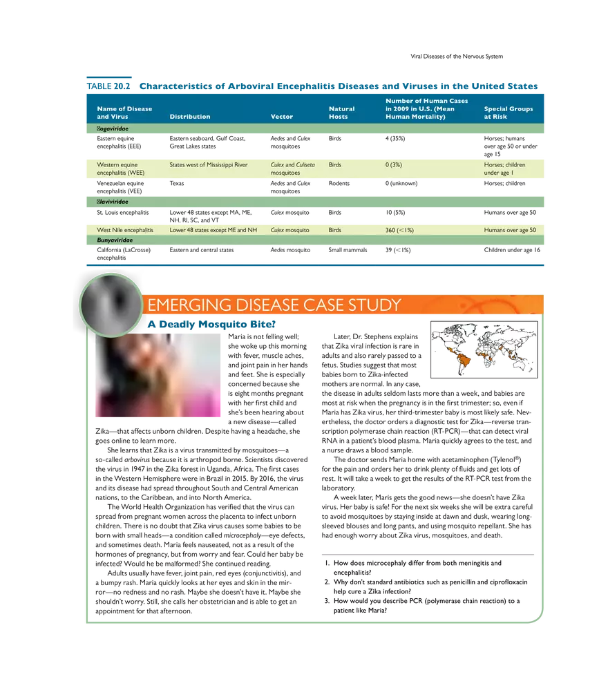 Microbial Diseases of the Nervous System and Eyes - Page 15