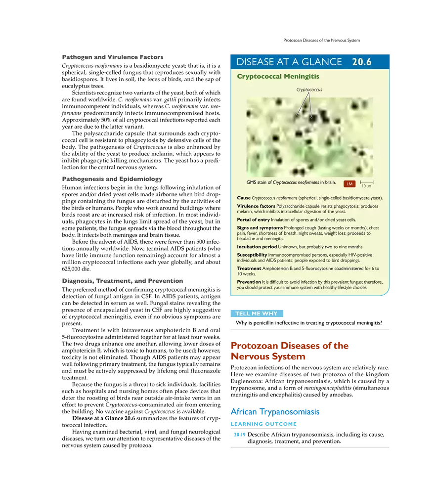 Microbial Diseases of the Nervous System and Eyes - Page 17