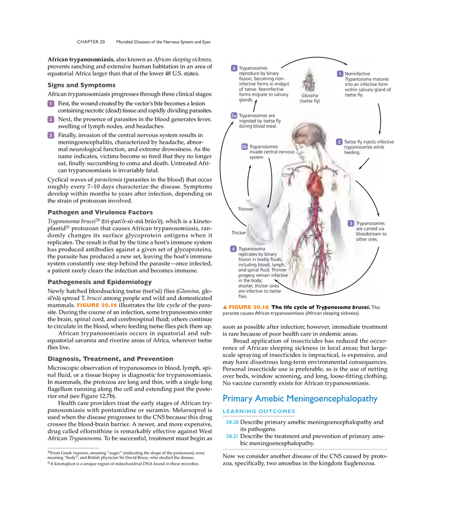 Microbial Diseases of the Nervous System and Eyes - Page 18
