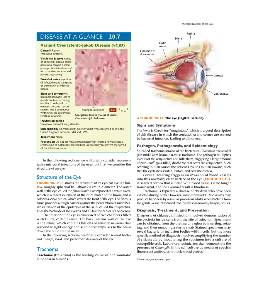 Microbial Diseases of the Nervous System and Eyes - Page 21