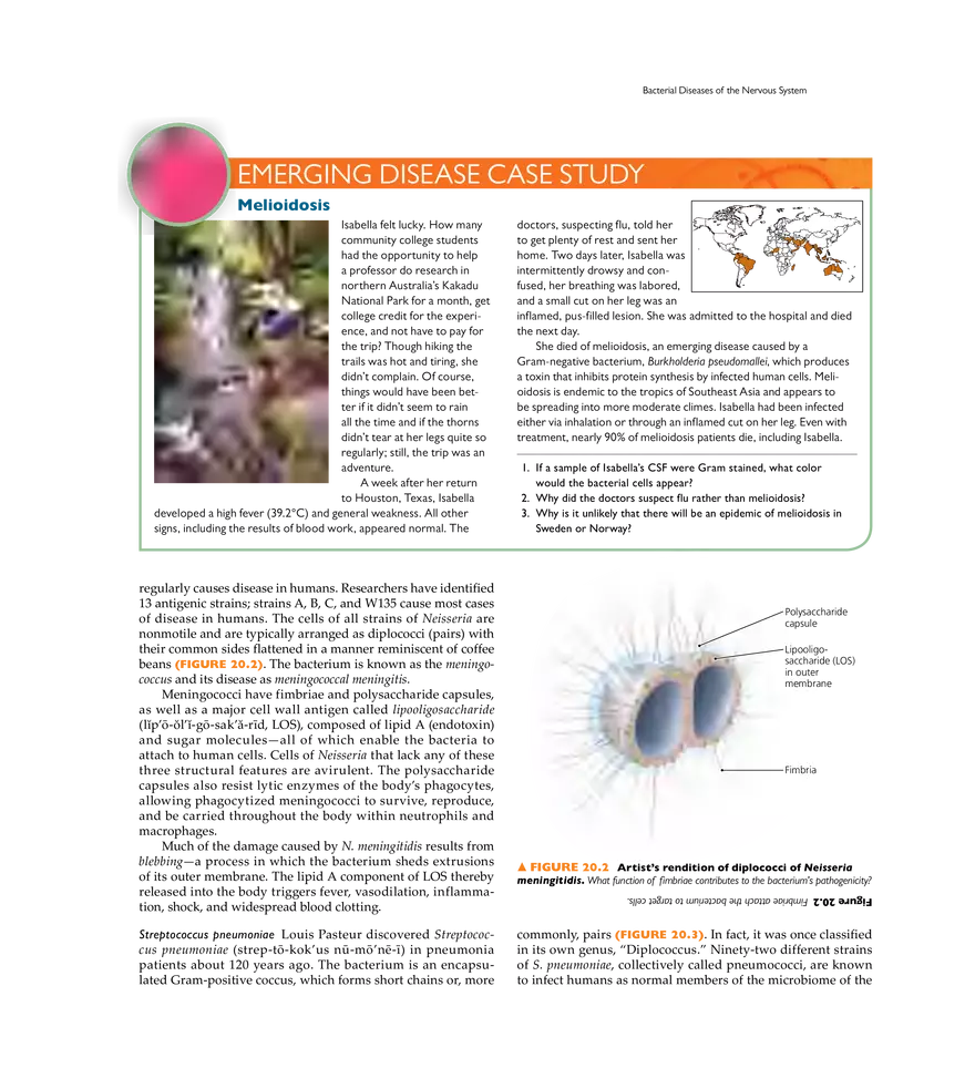 Microbial Diseases of the Nervous System and Eyes - Page 24