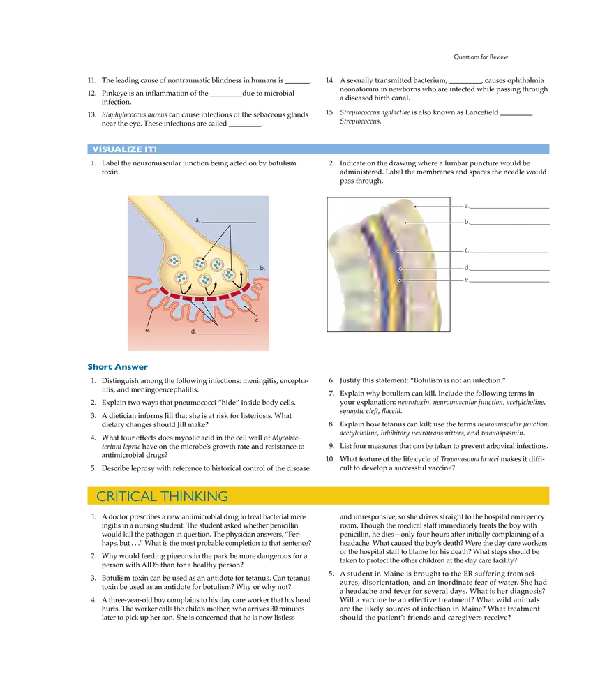 Microbial Diseases of the Nervous System and Eyes - Page 26