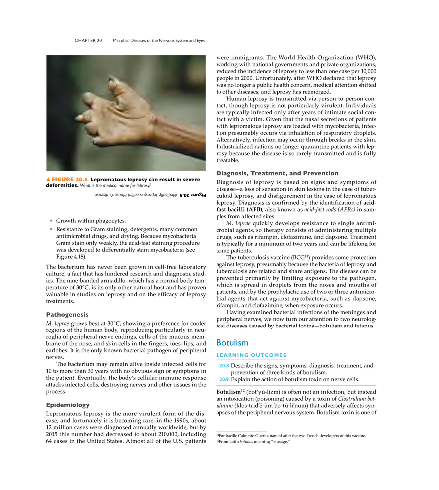 Microbial Diseases of the Nervous System and Eyes - Page 32