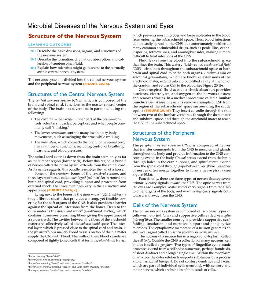 Microbial Diseases of the Nervous System and Eyes - Page 1