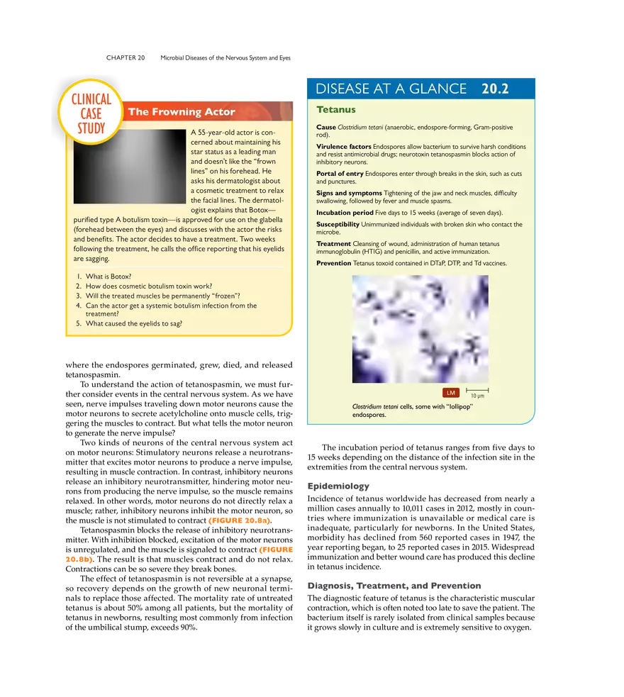 Microbial Diseases of the Nervous System and Eyes - Page 5