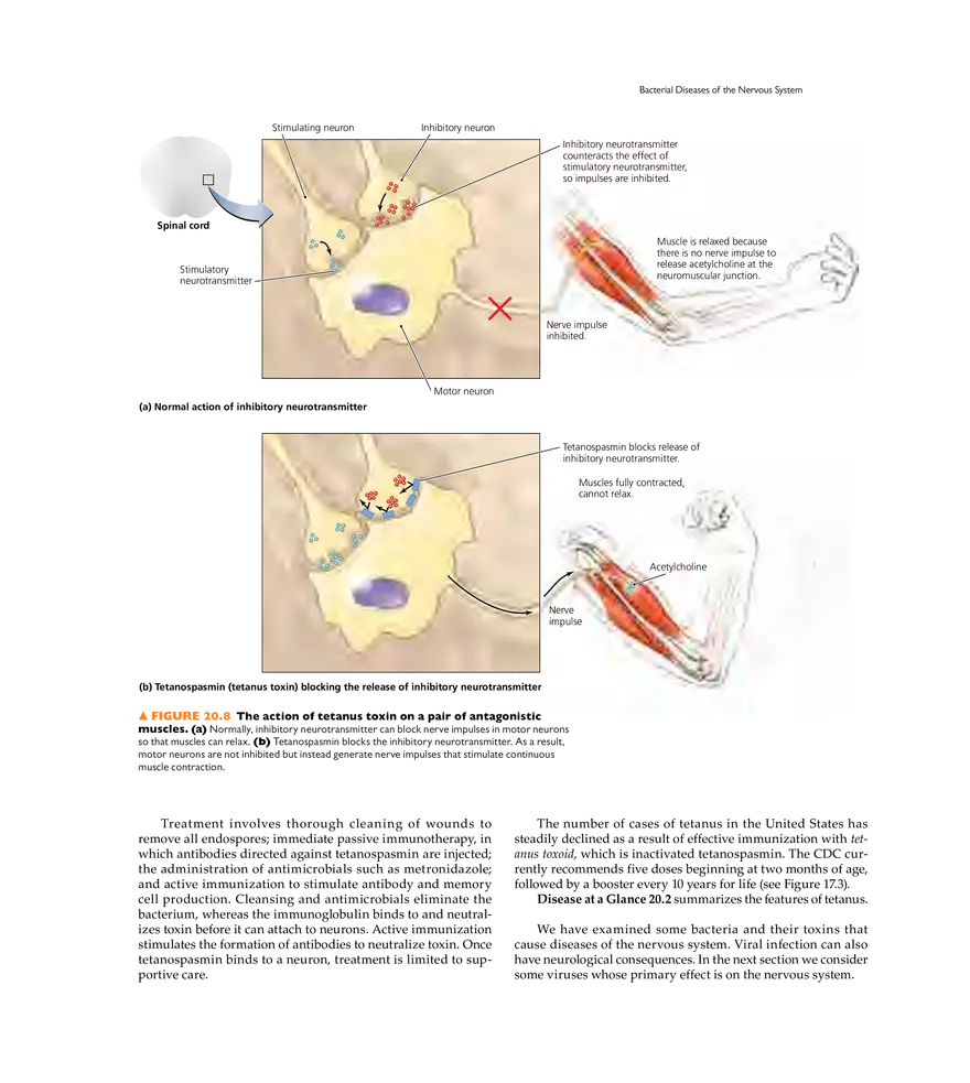 Microbial Diseases of the Nervous System and Eyes - Page 6