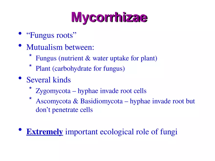 Introduction to Fungi - Page 13