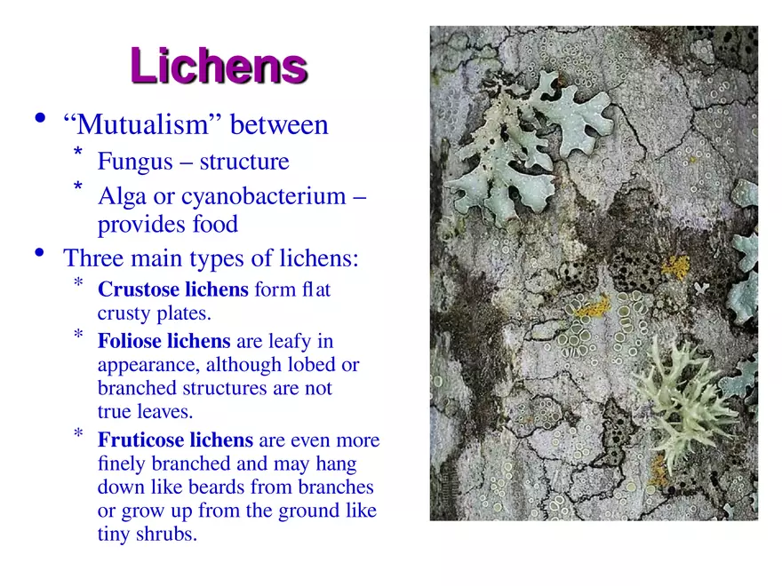 Introduction to Fungi - Page 3