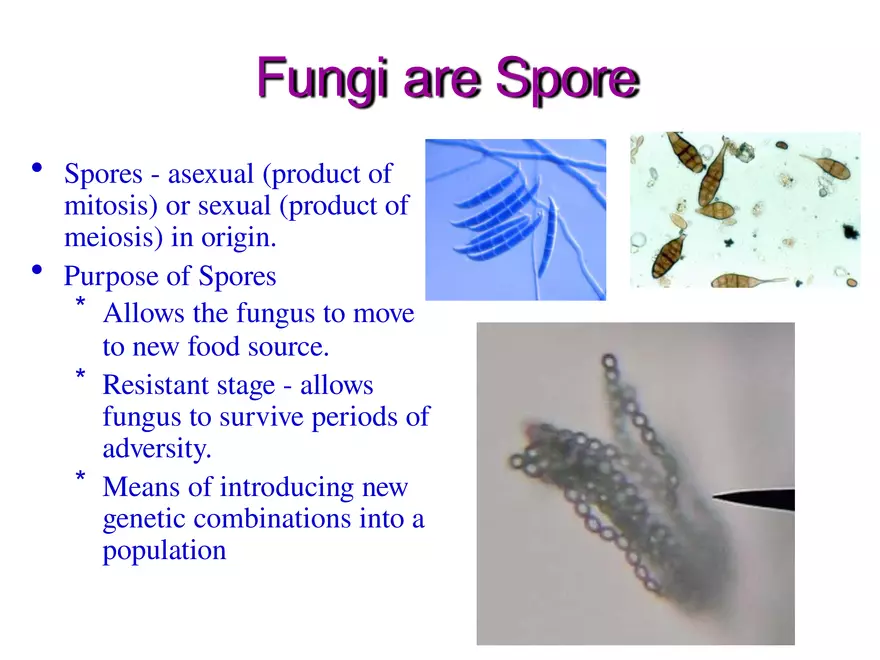 Introduction to Fungi - Page 5