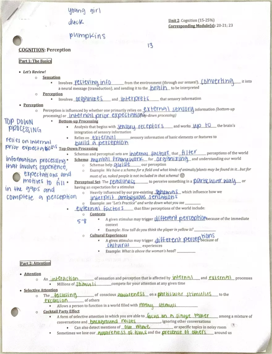 Unit 2 Cognition - Page 1