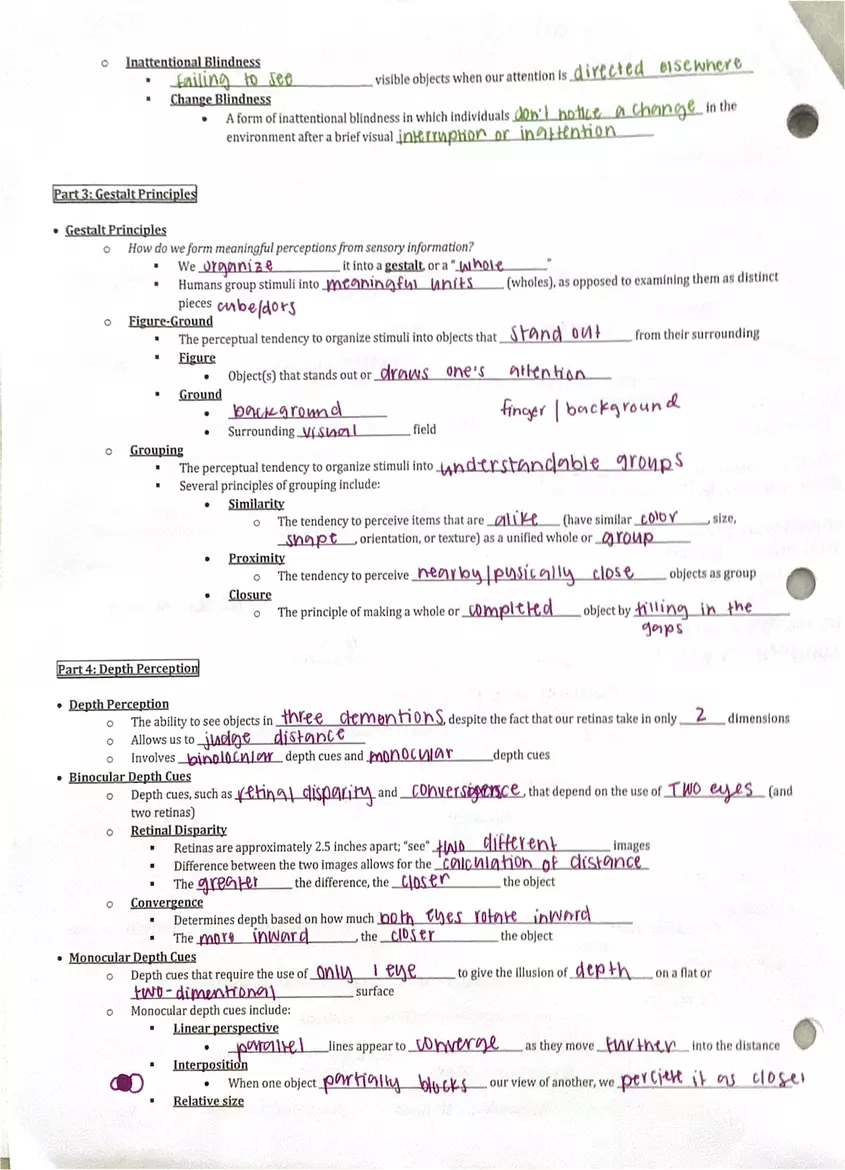 Unit 2 Cognition - Page 2