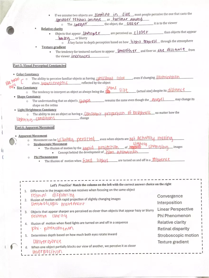 Unit 2 Cognition - Page 3