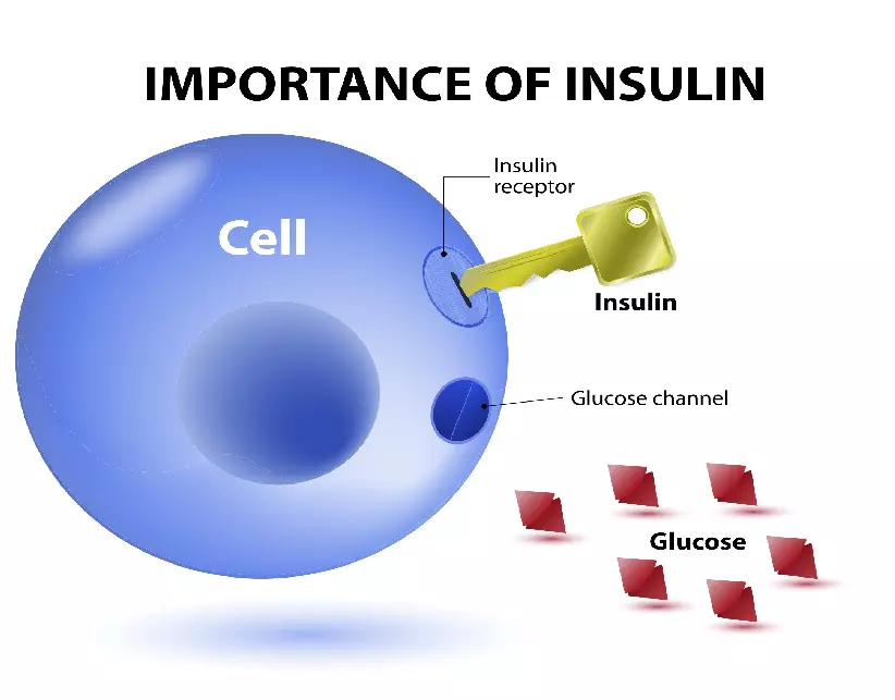 Healthy Living with Diabetes - Page 14