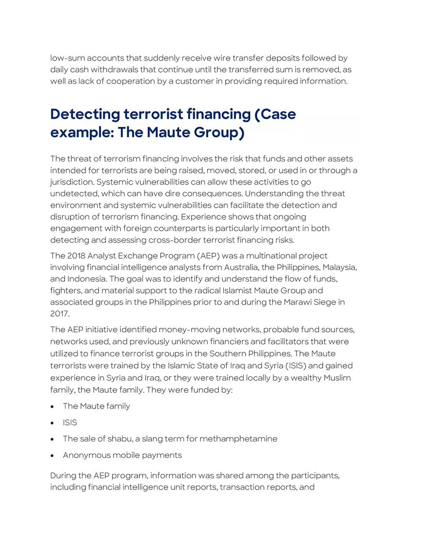 Terrorist Financing - Page 14