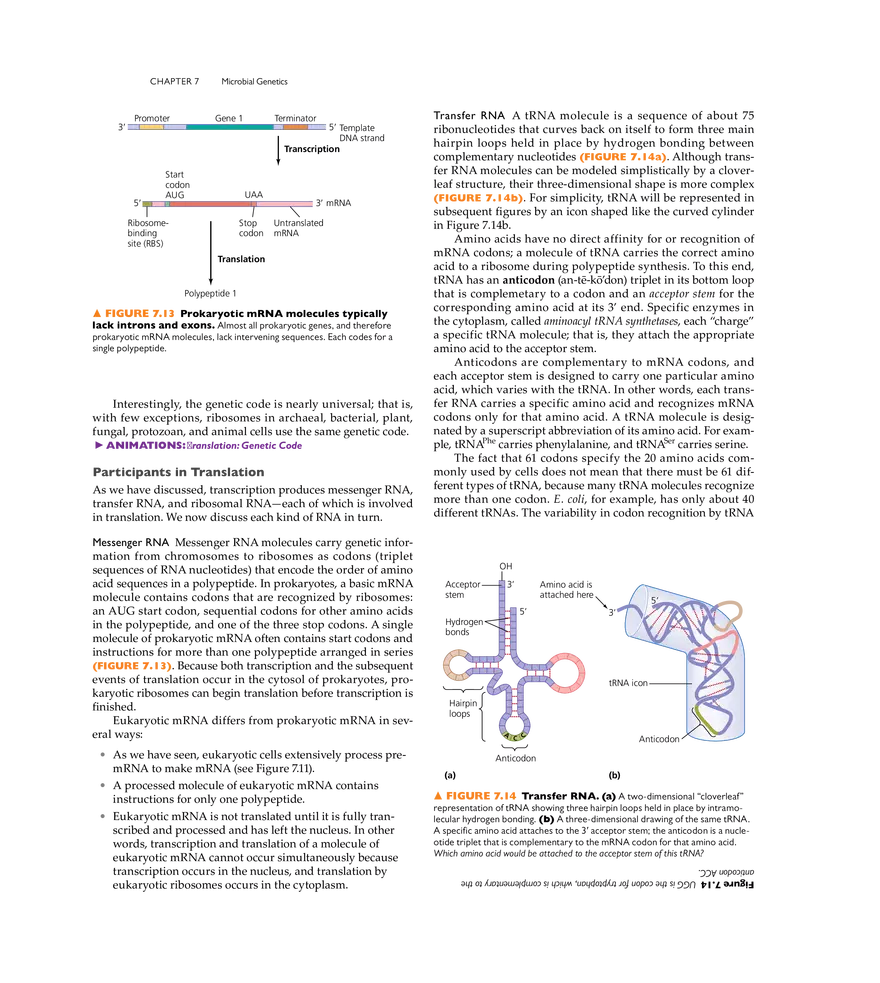 Microbial Genetics - Page 8