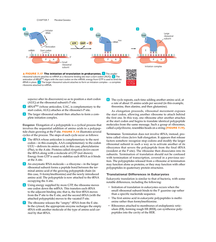 Microbial Genetics - Page 10
