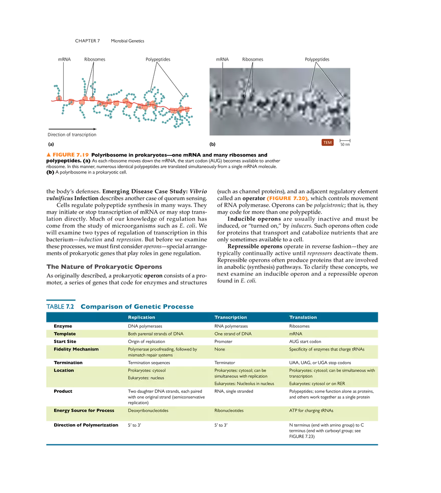 Microbial Genetics - Page 12