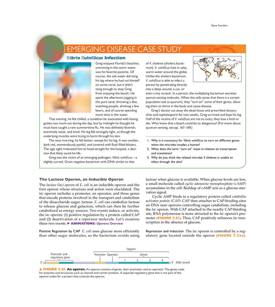 Microbial Genetics - Page 14