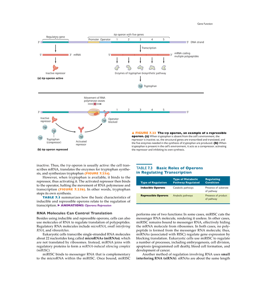 Microbial Genetics - Page 16