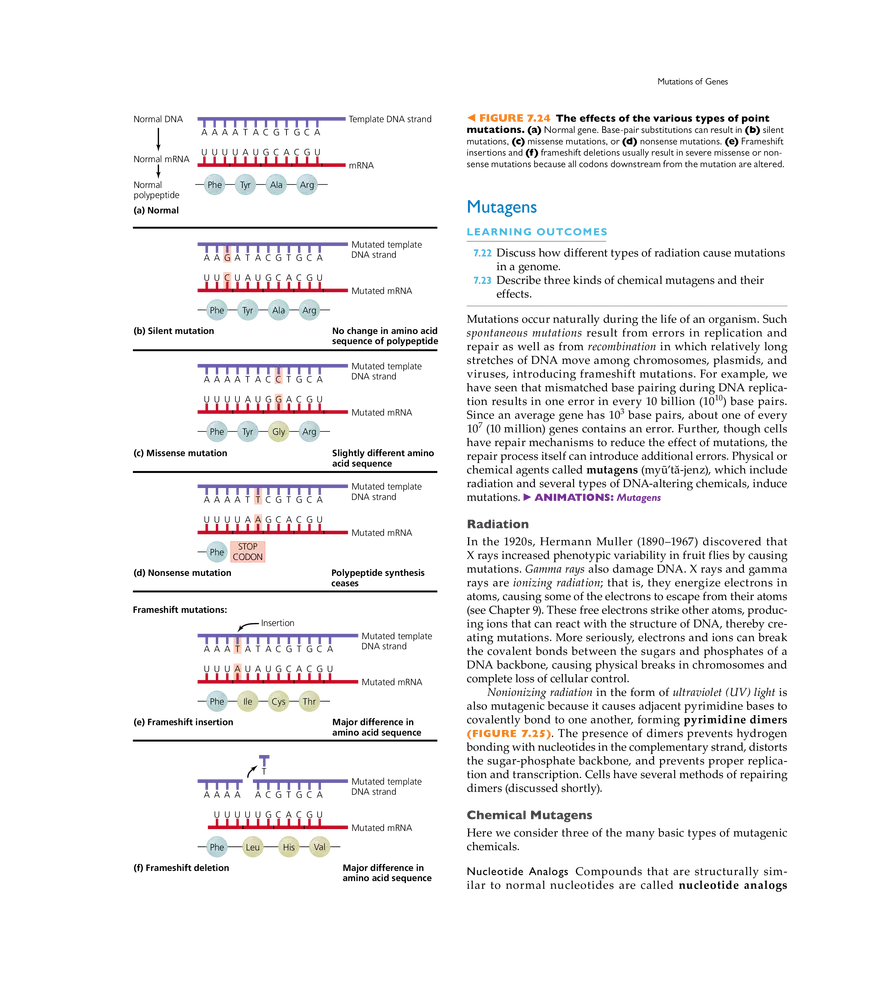 Microbial Genetics - Page 18