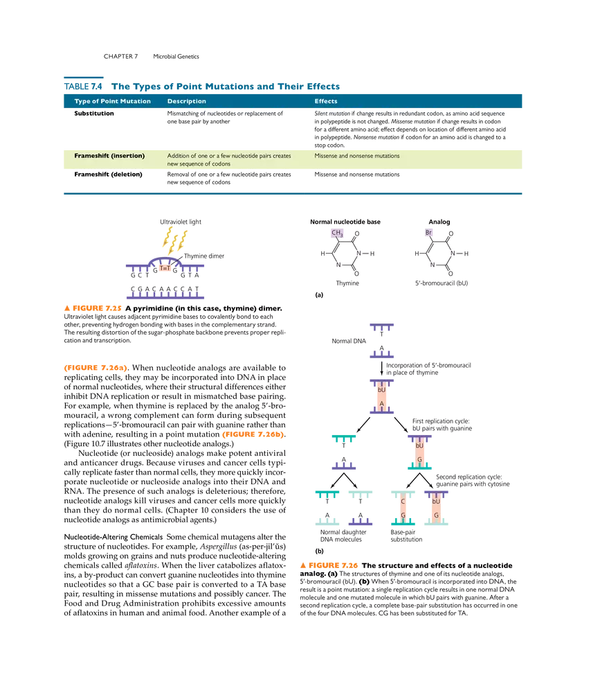 Microbial Genetics - Page 19