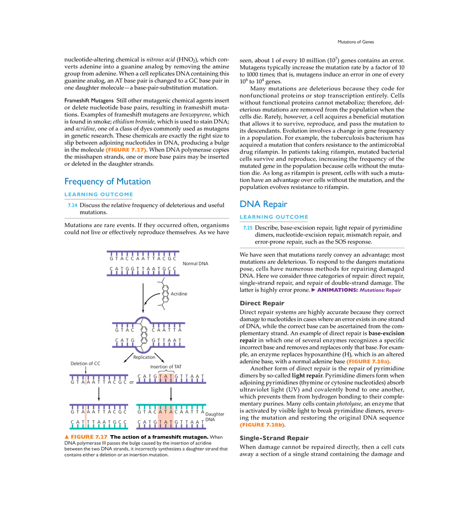 Microbial Genetics - Page 20