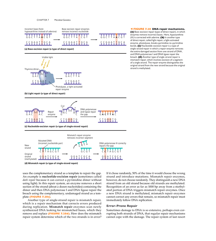 Microbial Genetics - Page 21