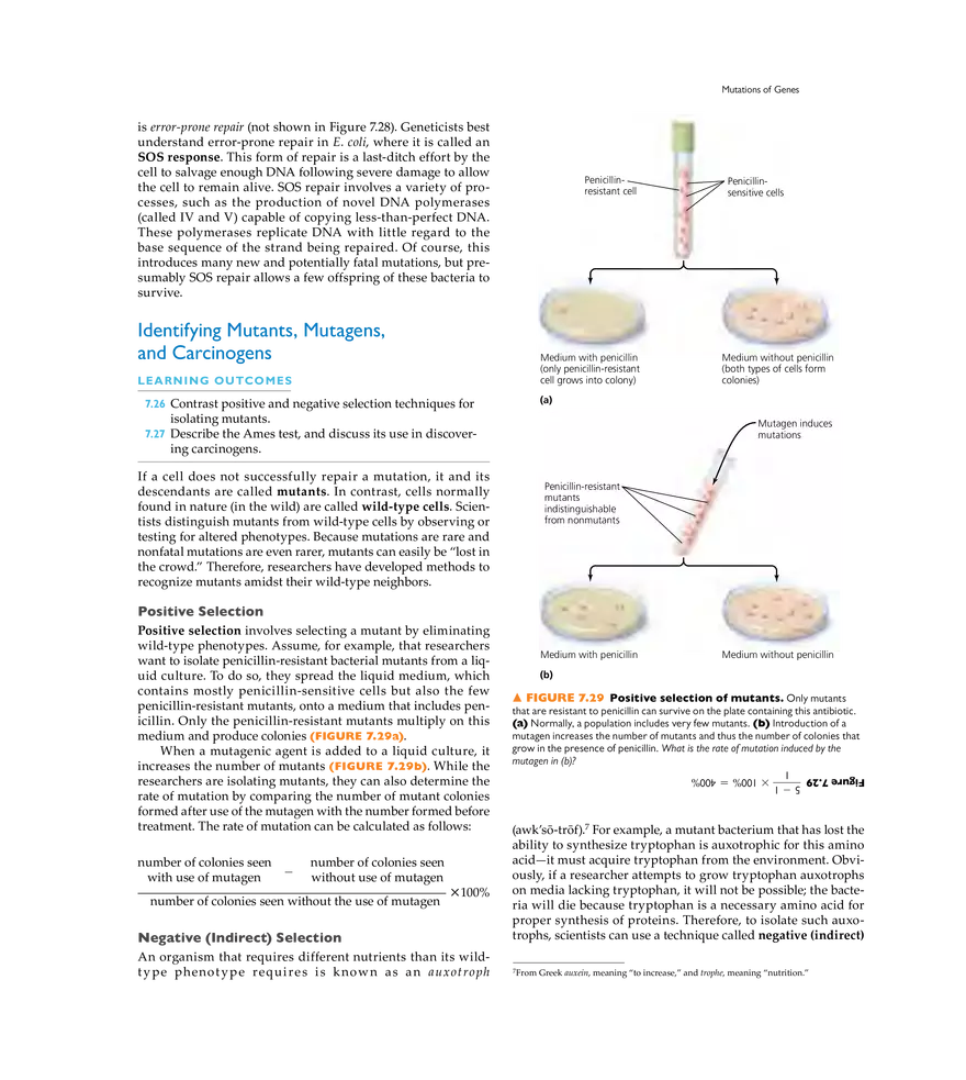 Microbial Genetics - Page 22